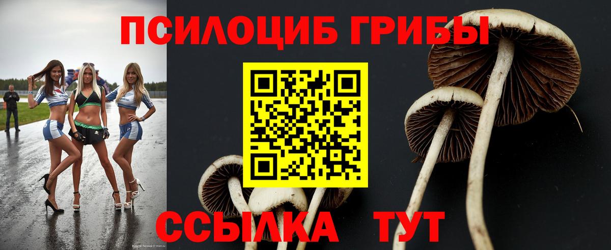 Галлюциногенные грибы ЛСД Мытищи