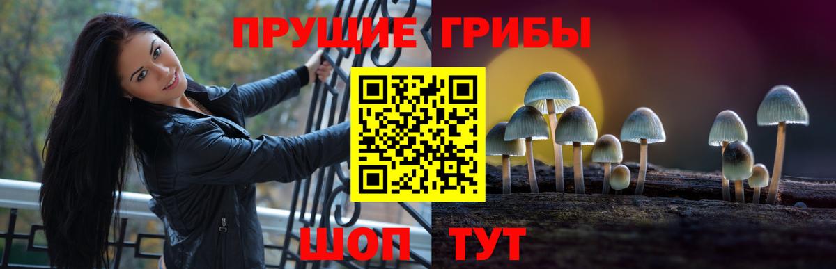 Галлюциногенные грибы прущие грибы  Галлюциногенные грибы мухоморы  Вход с VPN  Мытищи 